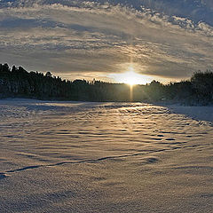 фото "Winter sun on Loholt"