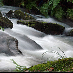 фото "Water stream"