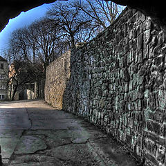 photo "the gothic wall"