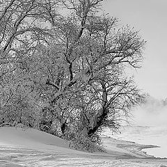 фото "Зимний берег"