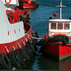 фото "Father and son"