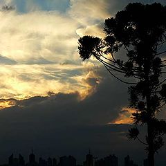 фото ""Sunset - Cascavel - Brazil""
