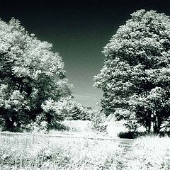 photo "Wasteland"