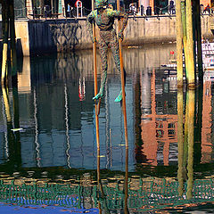 photo "Long legs to cross"