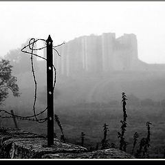 photo "Maillezais Abbey"