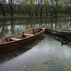 фото "Старые лодки"