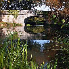 фото "Little bridge"