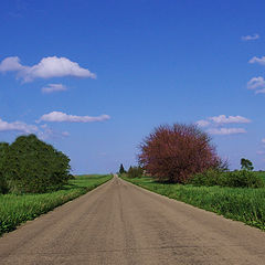 photo "on the road again..."