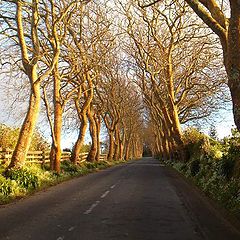 photo "Road to Nowhere"