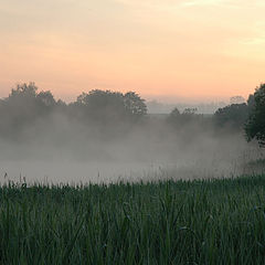 photo "Morning begins..."