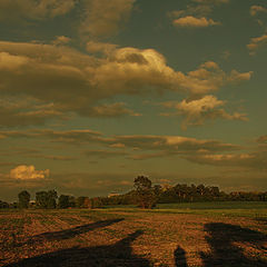 photo "in the shadows of sunset"