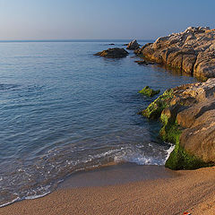 photo "Warm July morning."