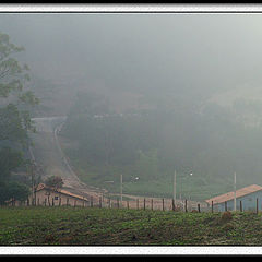 photo "Fog in country"