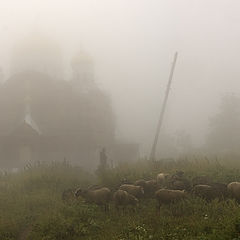 photo "The Good Shepherd"