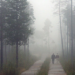 photo "Two in mist"