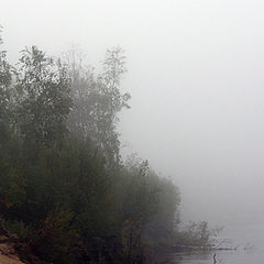 photo "Coast misty river"