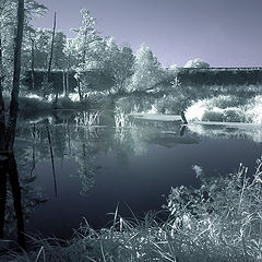 фото "Вечер у реки"