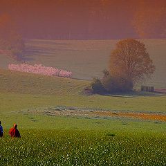 photo "morning wolk"