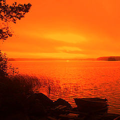 photo "The orange sky"