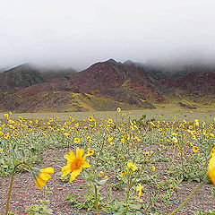 photo "Genesis at Death Valley"