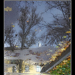 Фотоальбом "Осени зеркала"