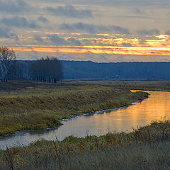 photo "Medium of the november"