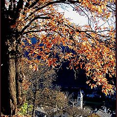 фото "landscape autumn"