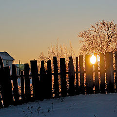 photo "January morning"