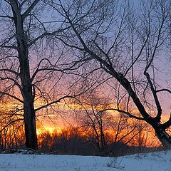 photo "burning sky"