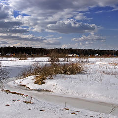 фото "Дело к весне)))"