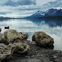 фото "Chile, Torres Del Paine NP"