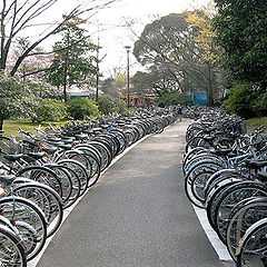 фото "Страна велосипедов"