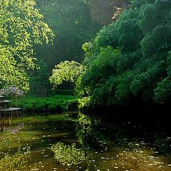 photo "very quiet place for dreaming"