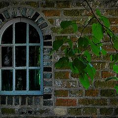 photo "the window"