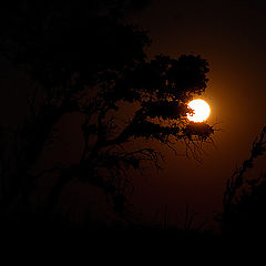 фото "Moon over Corse I"