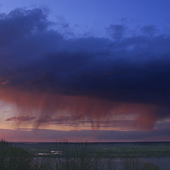 photo "Blood rain"