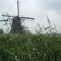 фото "Windmills"