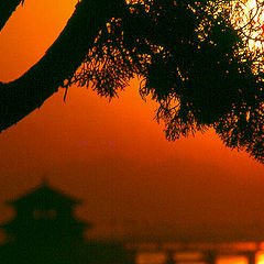 photo "Sino Sunset"