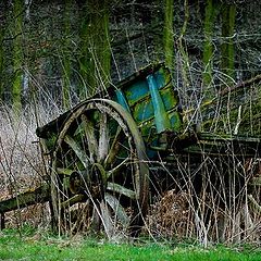 photo "old farmer hamper"