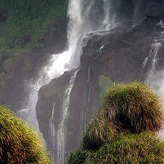 photo "Iguacu falls"