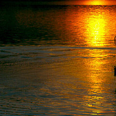 photo "I'm Just A Lonely Buoy"