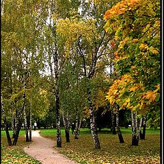 фото "Золотая осень"