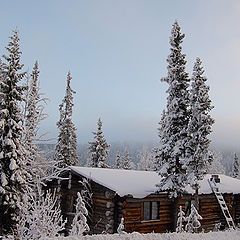 фото "Winter in Lapland"