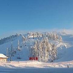 фото "Greetings from Lapland"