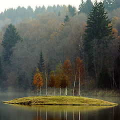 фото "Островок"