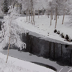 фото "Winter in Kuusamo"