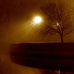 photo "..Night of a rain and fog..."