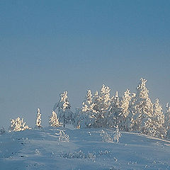 фото "Greetings from Lapland"