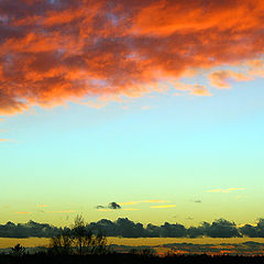 photo "Sunset in Decemder"