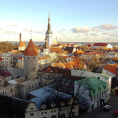 фото "Winter sun in Tallin"